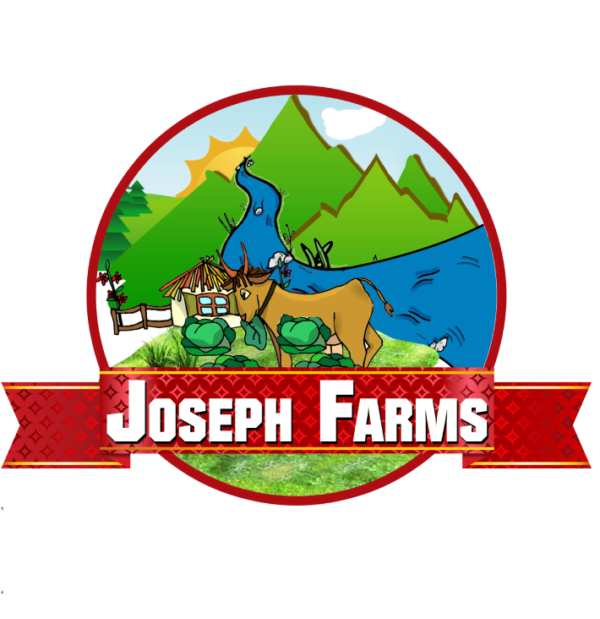 Logo Design - Image 12